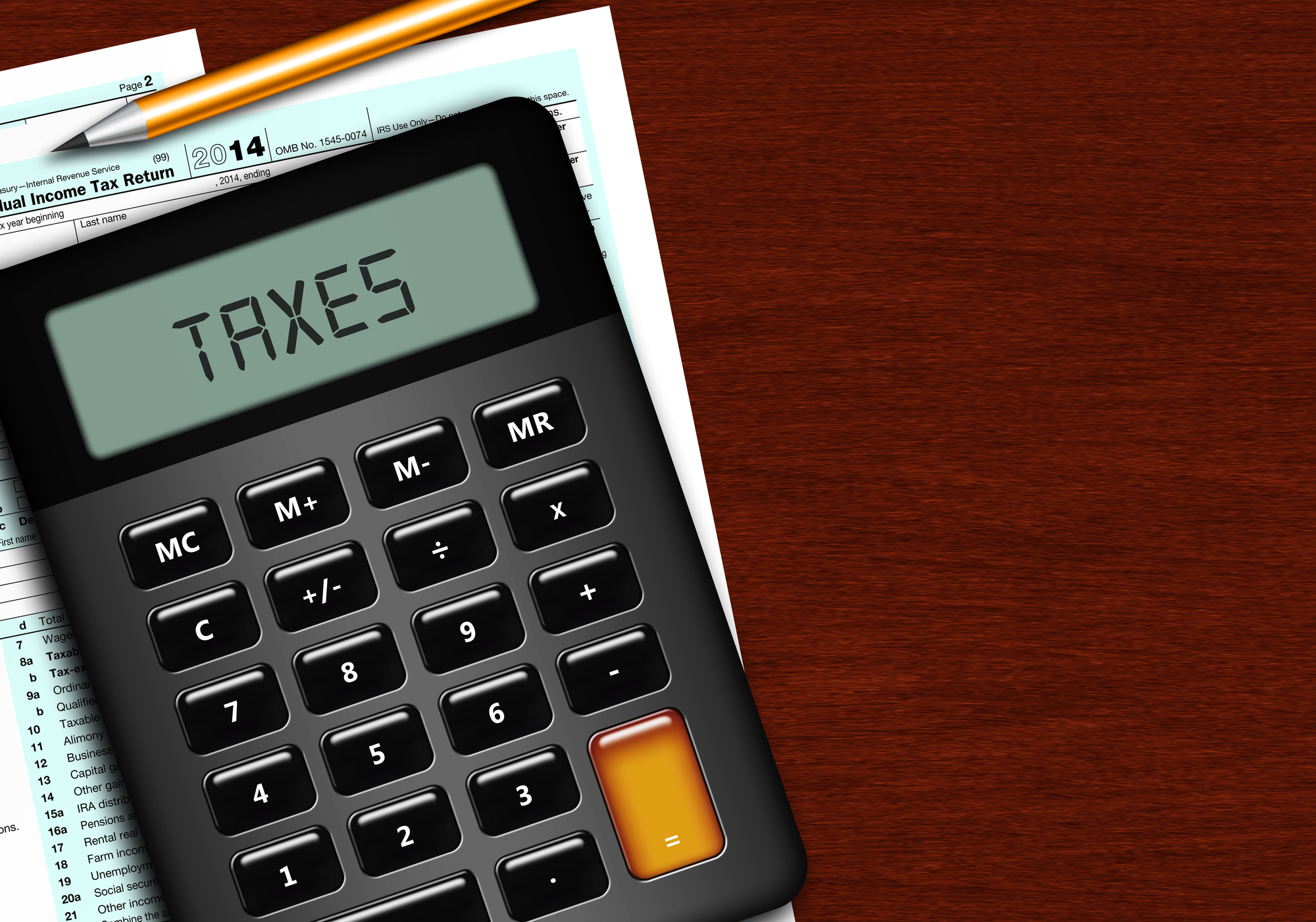 Individual Tax Returns - TGX